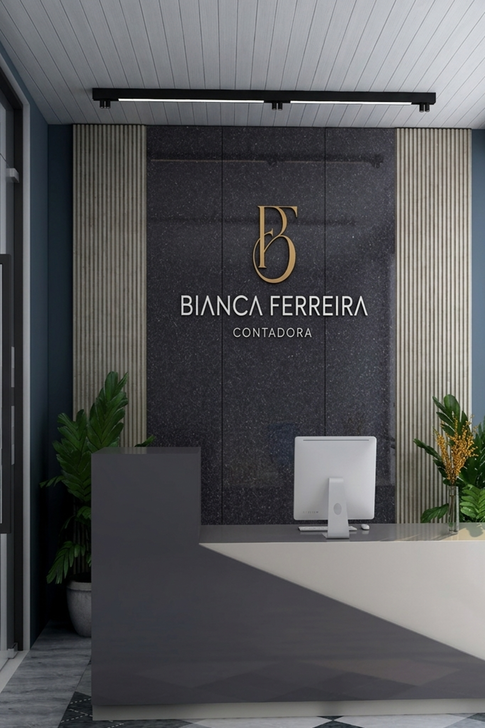 biancaferreiracontadora